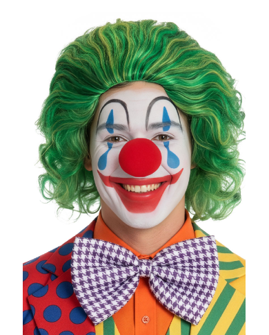Perruque de clown verte, dans sachet et crochet